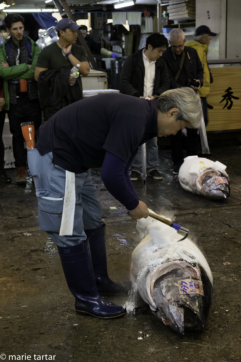 Men wielding weapons in Tsukiji: grappling a huge frozen tuna