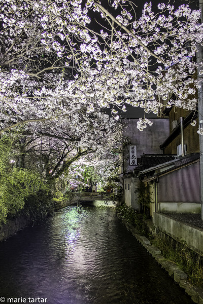 The street where we live in Kyoto, Kiyamachi-dori, is charming