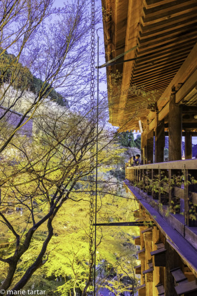 201604 MT Kyoto Kiyomizu Dera Night Rainchain