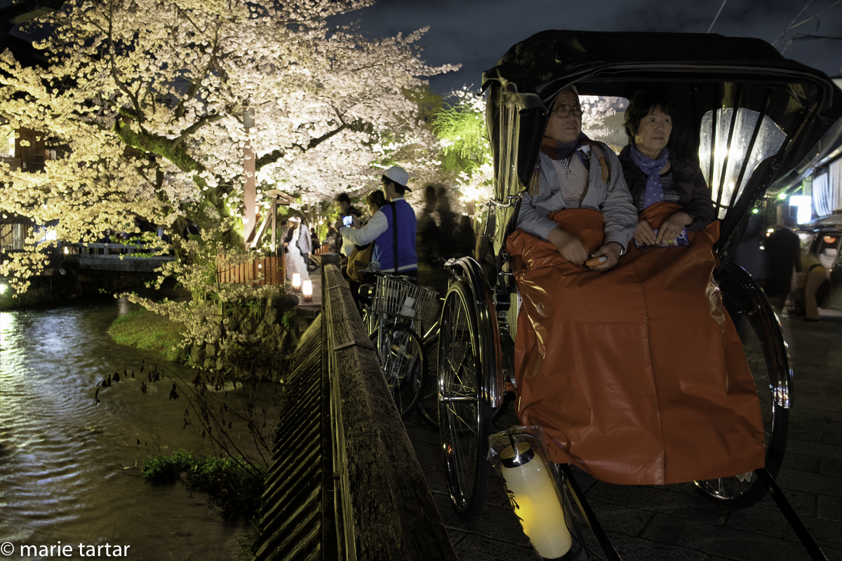 Shimbashi, lit at night, for hanami (cherry blossom viewing), with a couple tucked in for a rickshaw drive