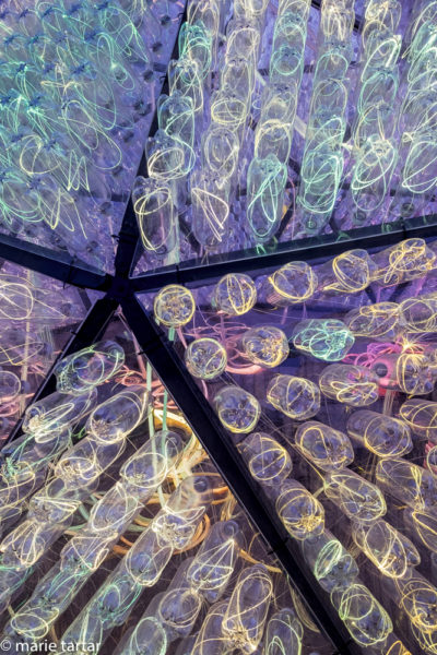 Detail of the Bruce Munro geodesic dome installation at Phoenix's Desert Botanical Garden