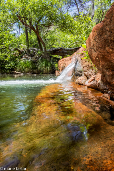 A delightful place into which to plunge hike-heated feet, a watering hole along Beaver Creek, near Sedona