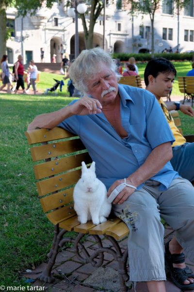 In Place d'Armes, Québec City, a resident and his well loved pet rabbit, Sparky