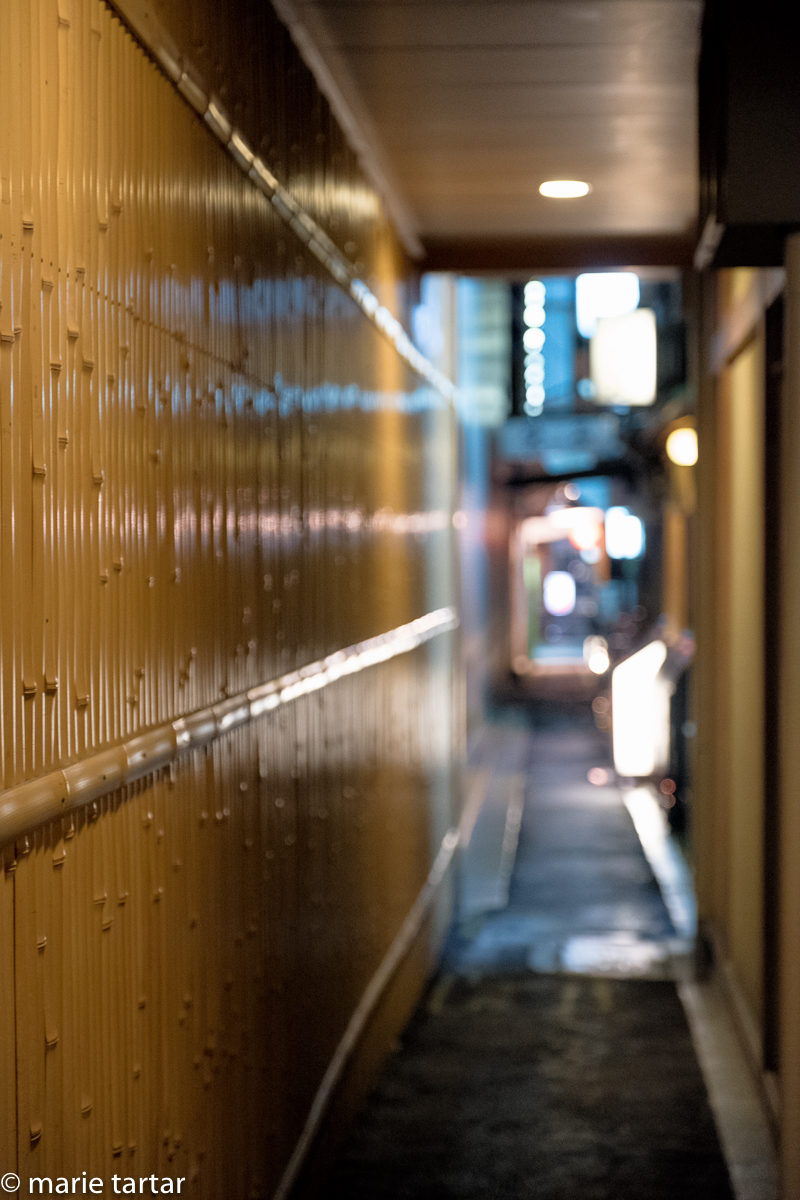 Pontocho alleyway in Kyoto, Japan