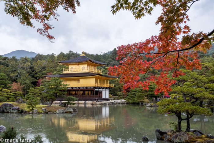 Kinkakuji, the Golden Pavilion, one of the most iconic sights of Kyoto