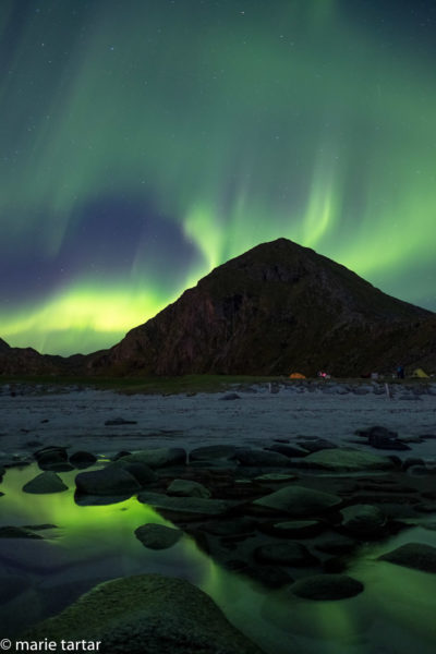 Northern Lights in Lofoten Norway
