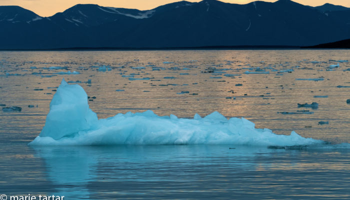 Arctic Svalbard iceberg landscape