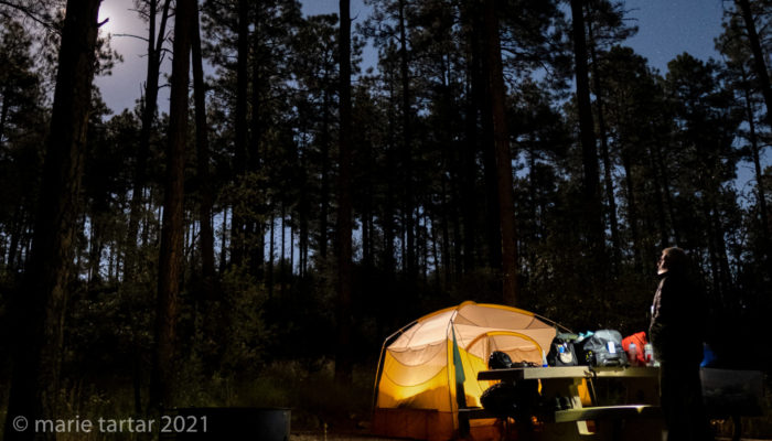 camper gazes at stars by moonlight