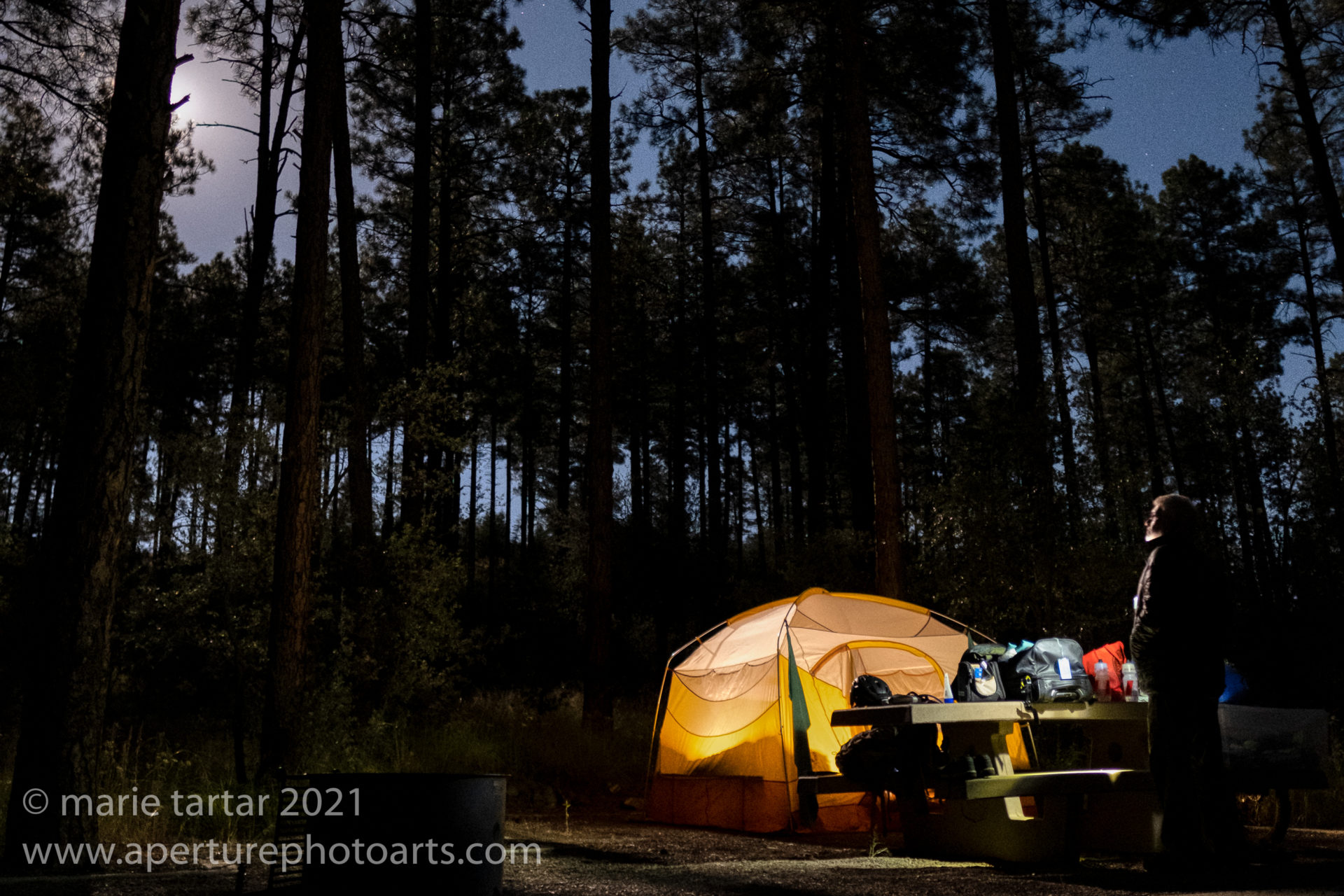 camper gazes at stars by moonlight