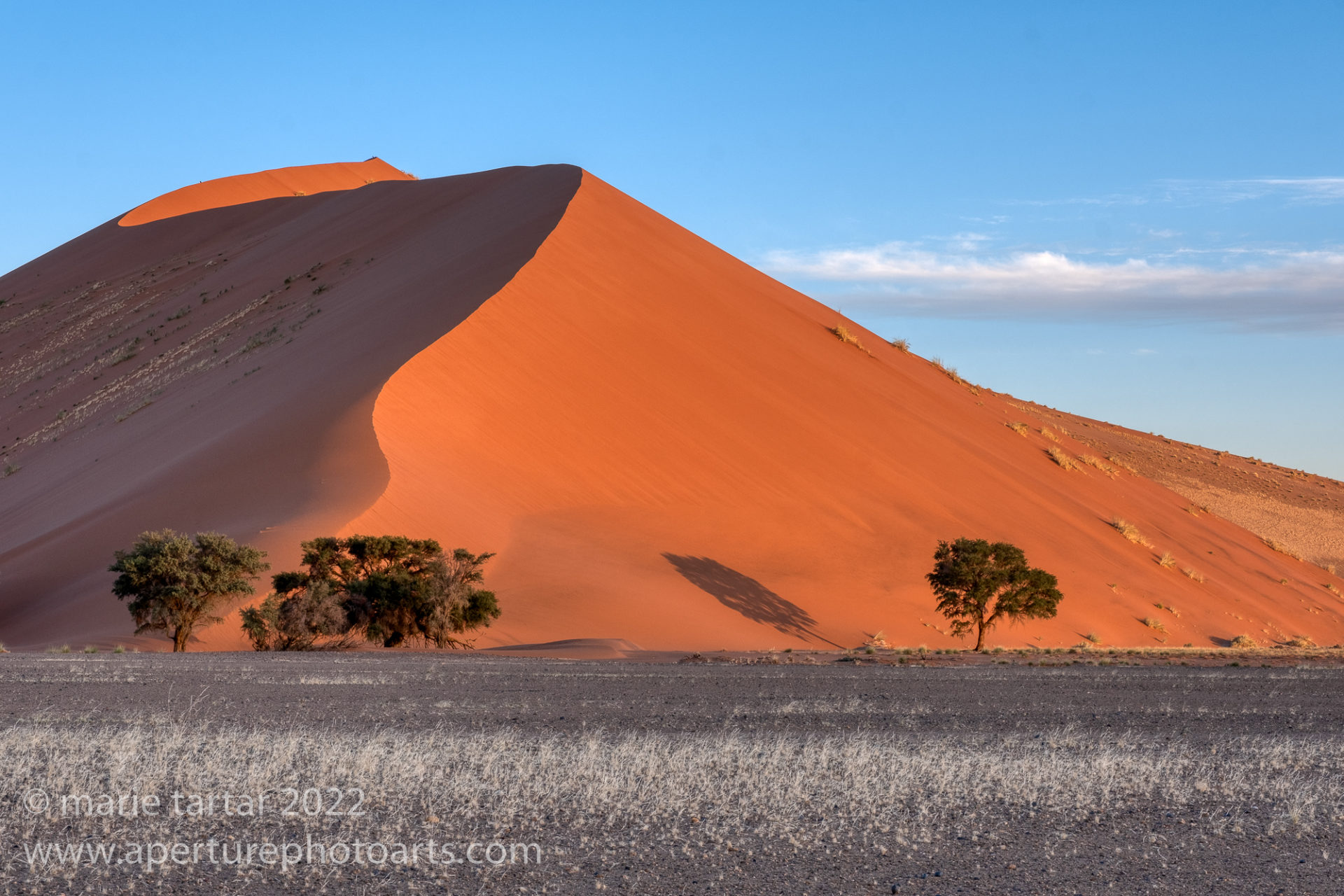 Namibia: June 2022 (Part 3-Sossusvlei and Dune Dreams) - Aperture Photo Arts