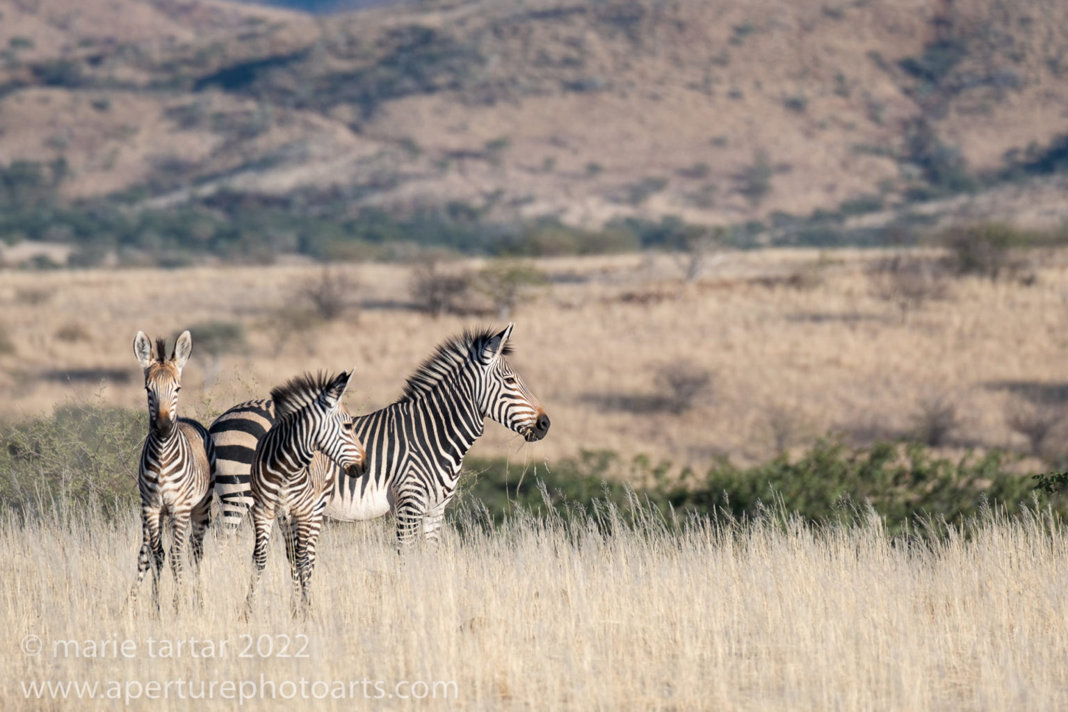 Namibia June 2022 Part 5 A Visit To A Himba Village Aperture