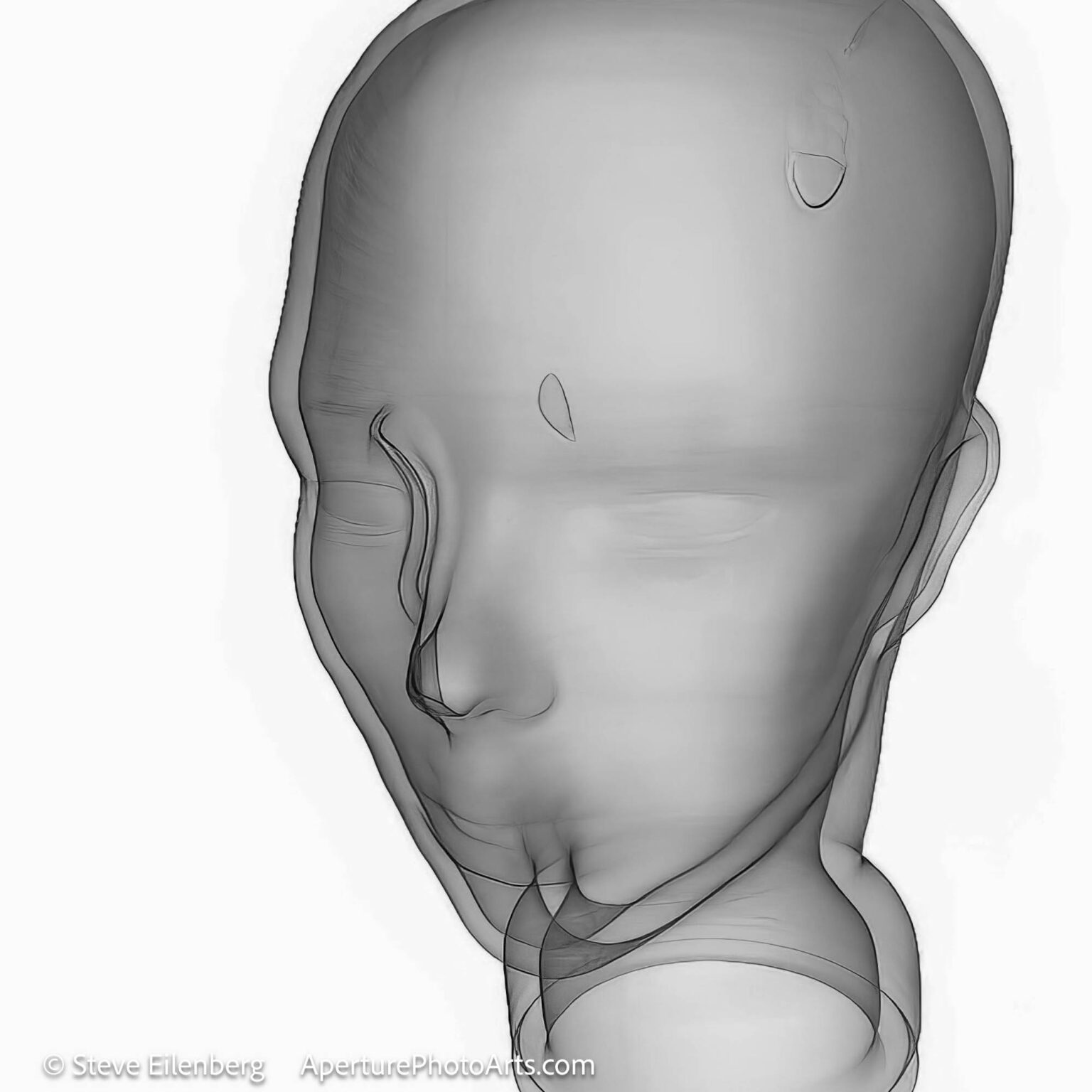 X Ray Glass mannequin head