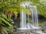 Russell Falls in Mount Fields National Park in Tasmania