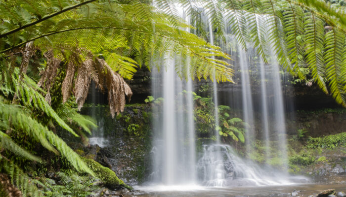 Russell Falls in Mount Fields National Park in Tasmania